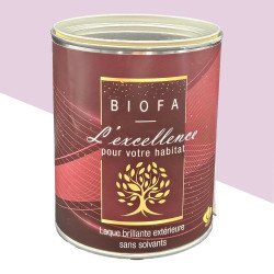 Photo Laque écologique Violet