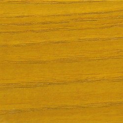 Photo application lasure pour ruche tournesol