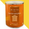 Peinture pour ruche mimosa Biofa