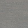 Lasure Gris Clair (F-SW 9012)