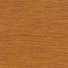 Lasure Noisette (F-BR 9027)
