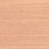 Lasure Rose Pastel (F-RR 9040)