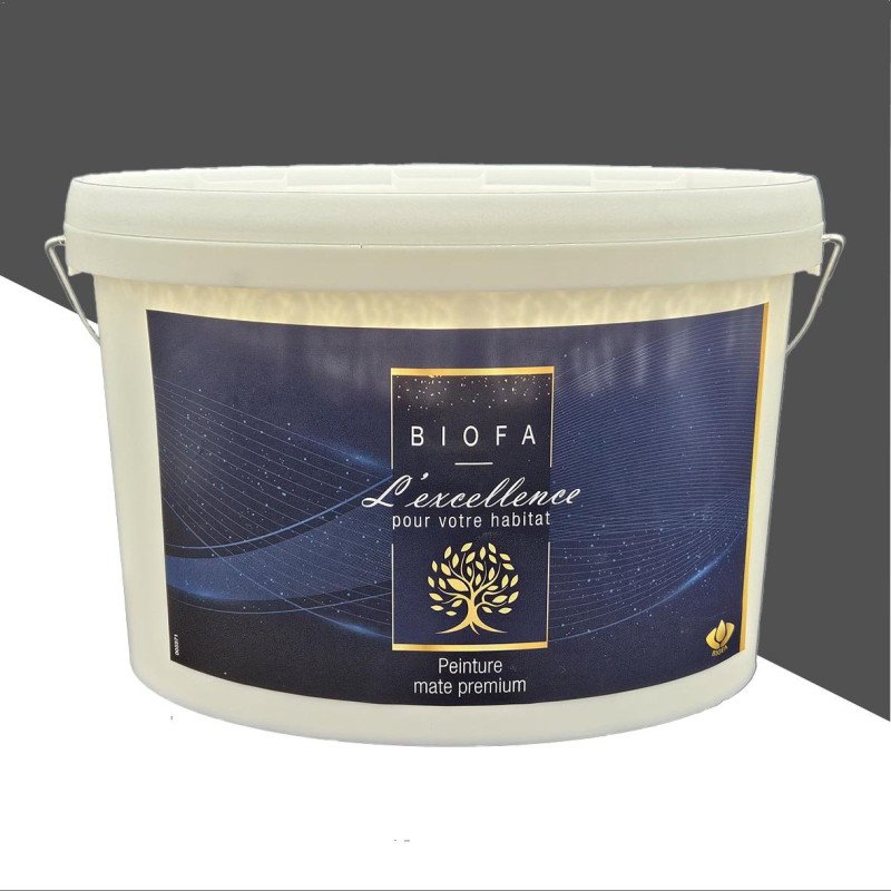 Photo Peinture écologique Anthracite