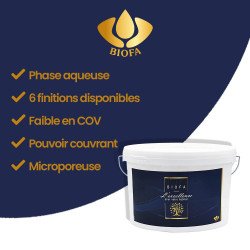 Informations clés sur les peintures murales écologiques Biofa