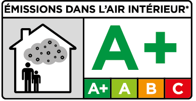 logo A+