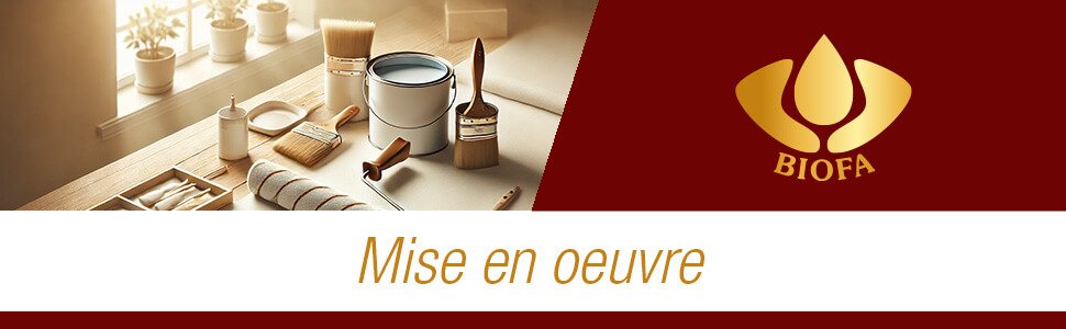 Banner mise en oeuvre peinture biofa