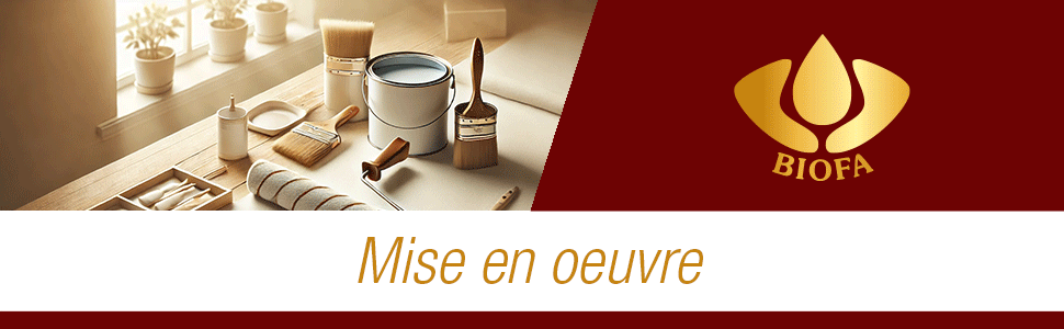 Banner mise en oeuvre peinture biofa