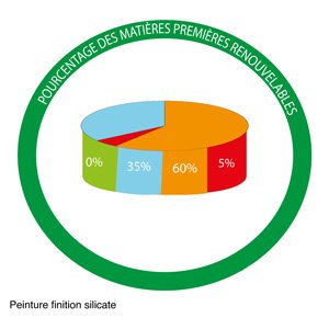 Graphique sur la composition de la peinture au silicate