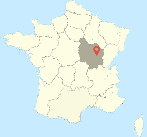 Carte France VIEVY