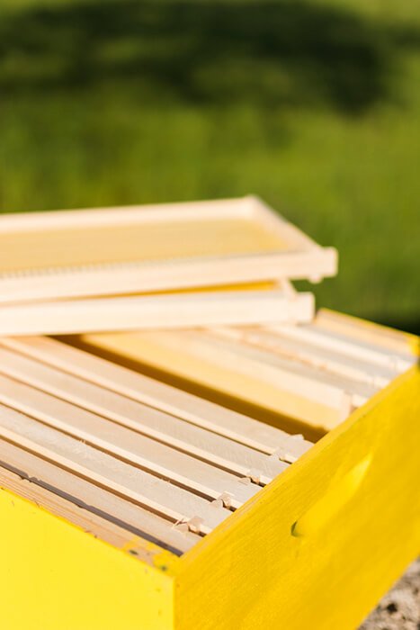 Ruche en bois