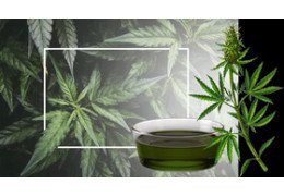 Nouvelle composition à base d'huile de chanvre pour l'huile pour meubles