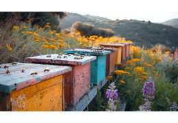 De quelle couleur peindre une ruche en bois ?